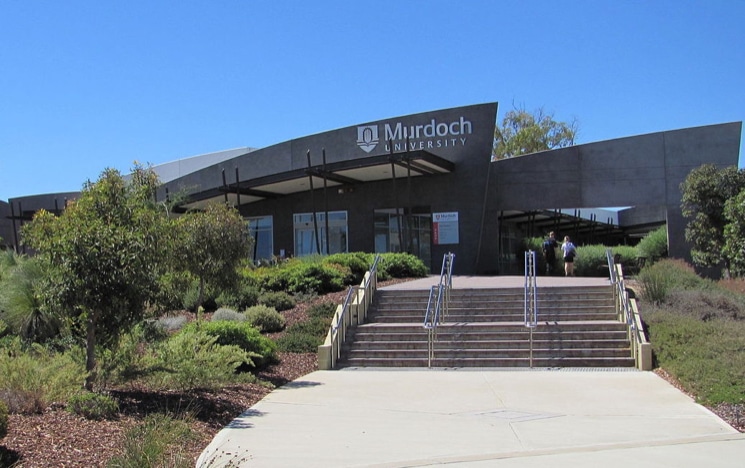 Murdoch University Global Master of Business Administration (MBA)